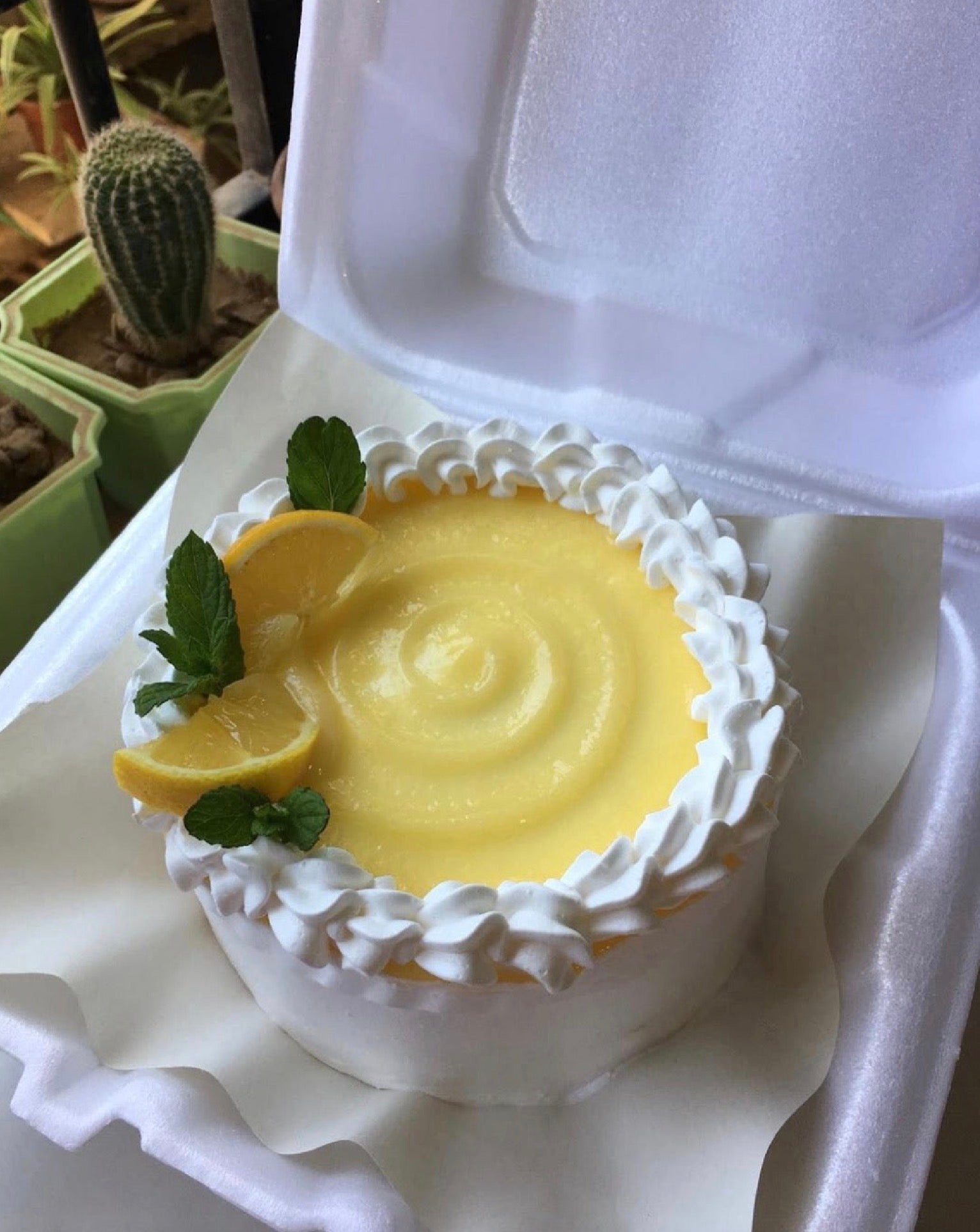FloJo's Sweets Bento Lunchbox Cake – Custom Mini Cake Gift
