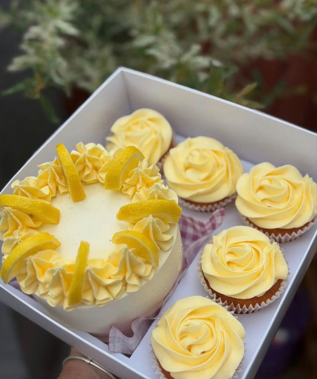 FloJo's Sweets Bento Cake & Cupcake Bundle – The Ultimate Sweet Gift Set