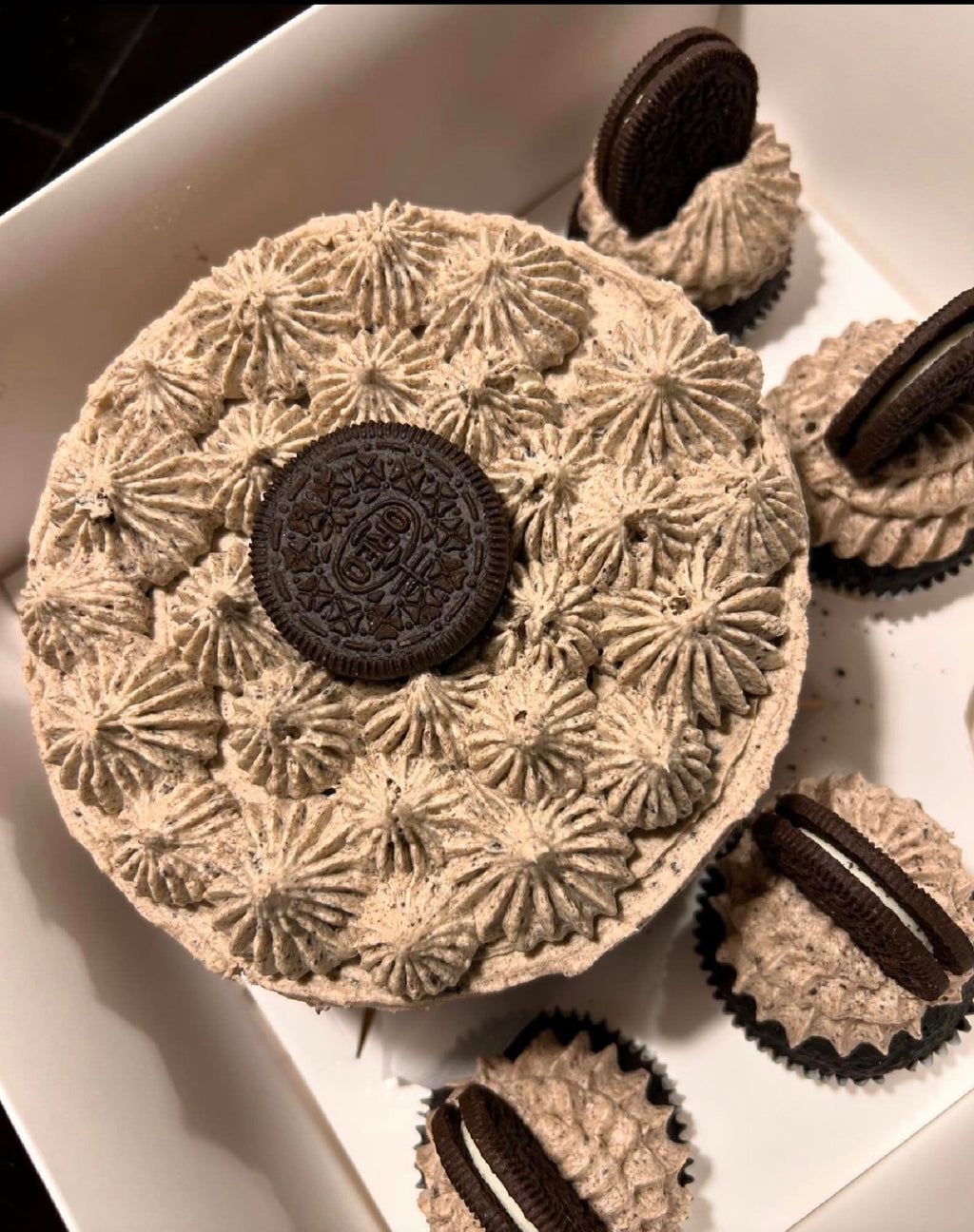FloJo's Sweets Bento Cake & Cupcake Bundle – The Ultimate Sweet Gift Set