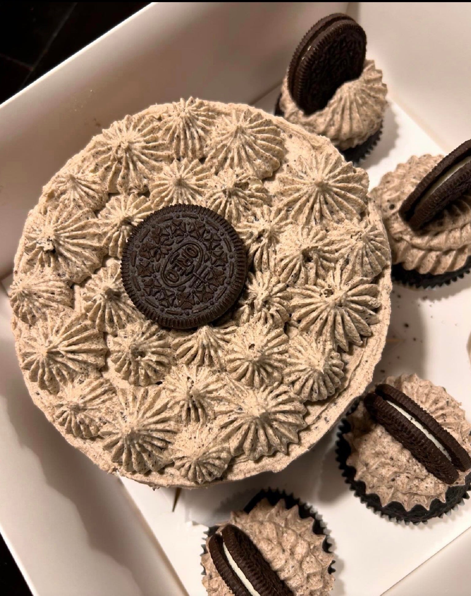 FloJo's Sweets Bento Cake & Cupcake Bundle – The Ultimate Sweet Gift Set